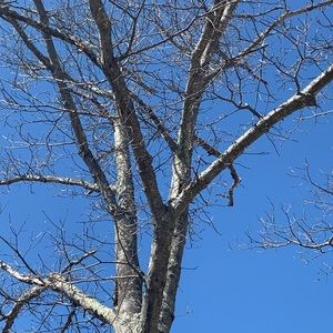 Meet your Posher, Alan